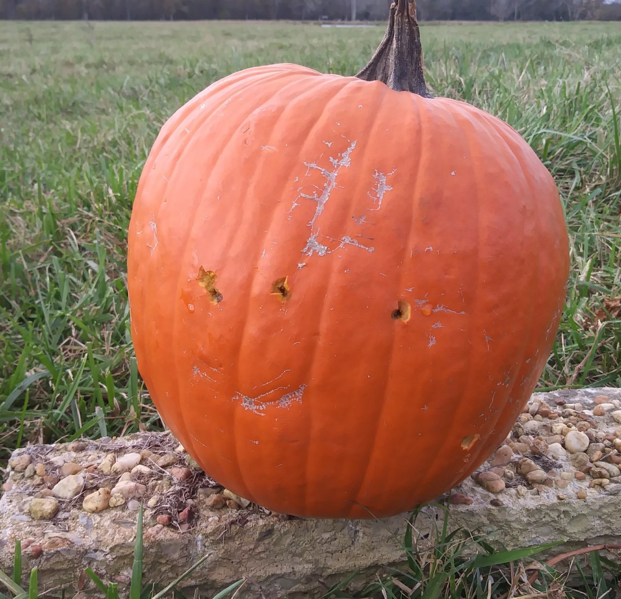 20201108_142500~2.jpg