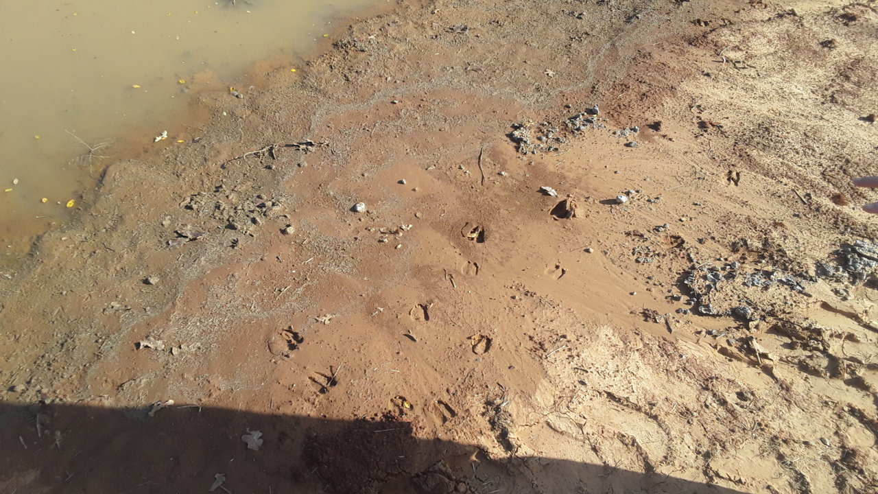 20201108_142505.jpg