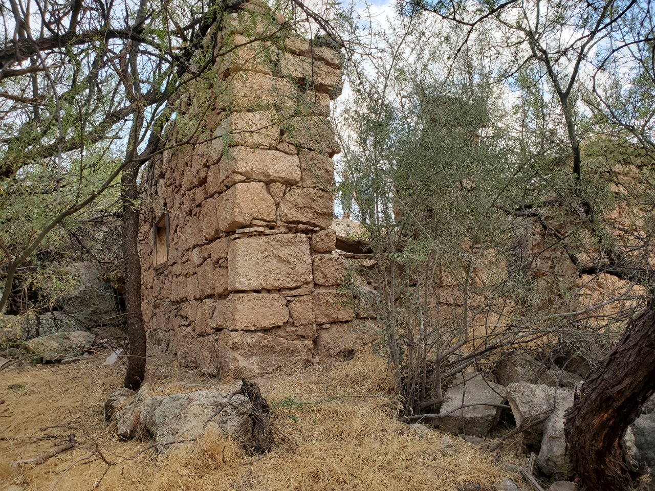 20201108_161005.jpg