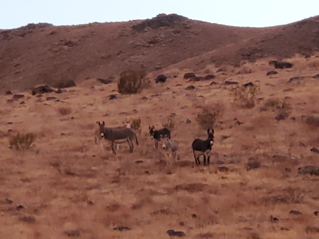 20201108_163711.jpg