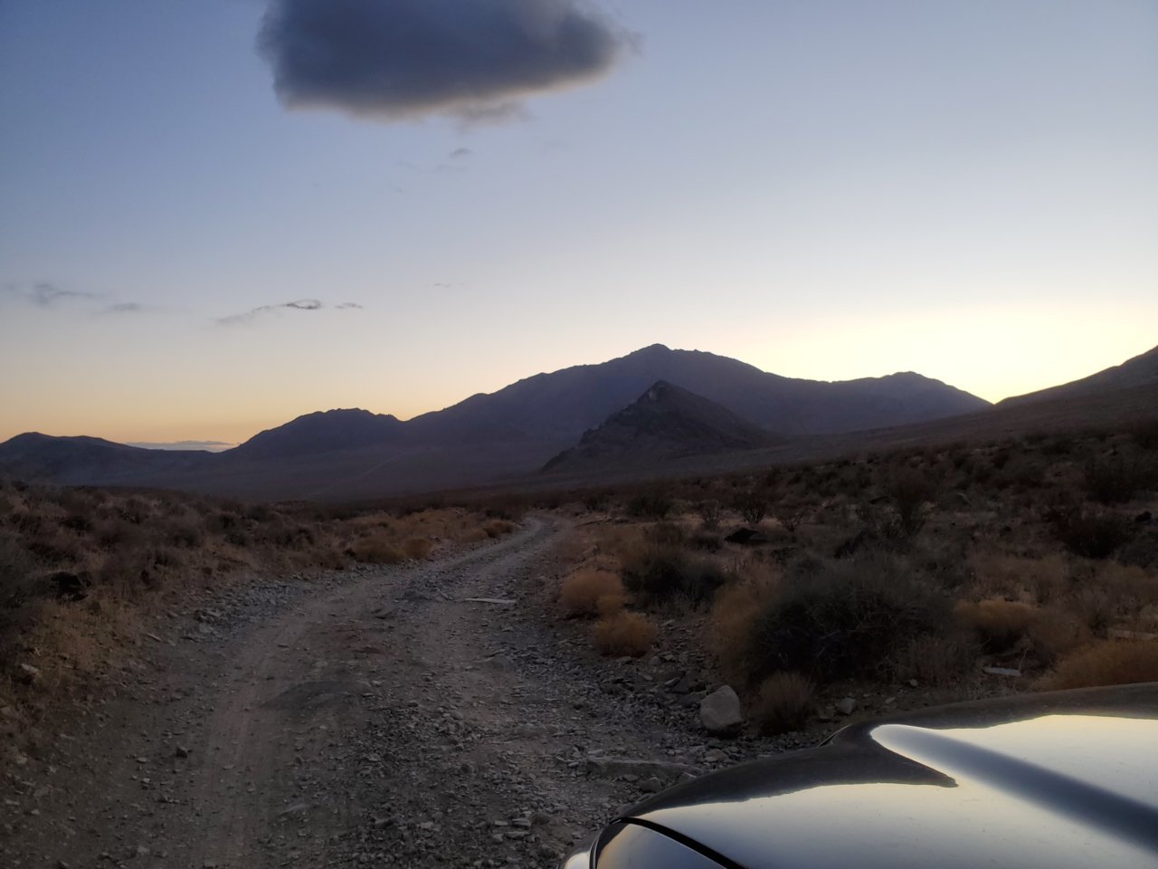 20201108_165024.jpg