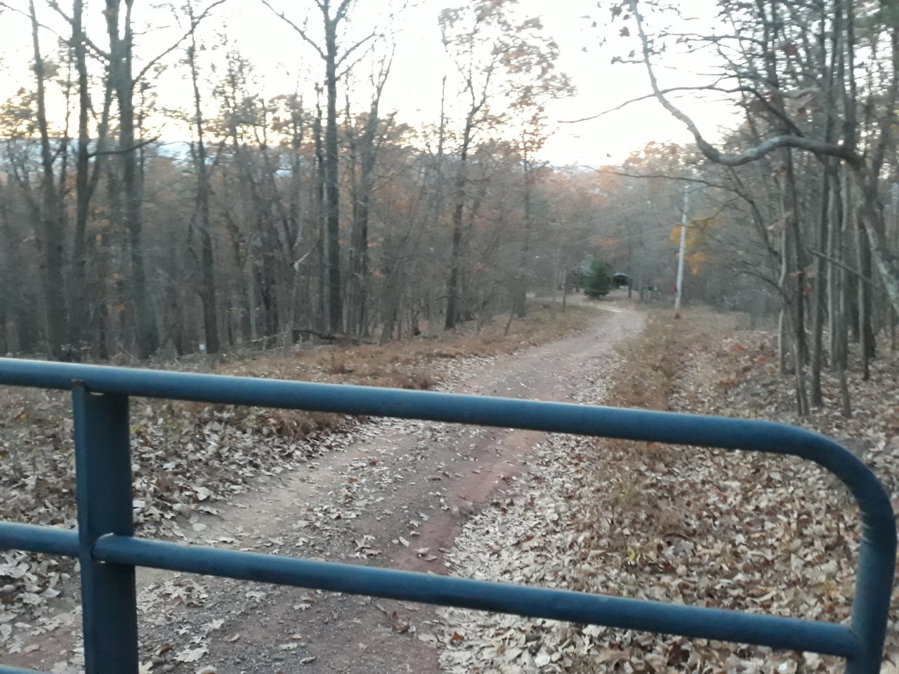 20201108_170907.jpg