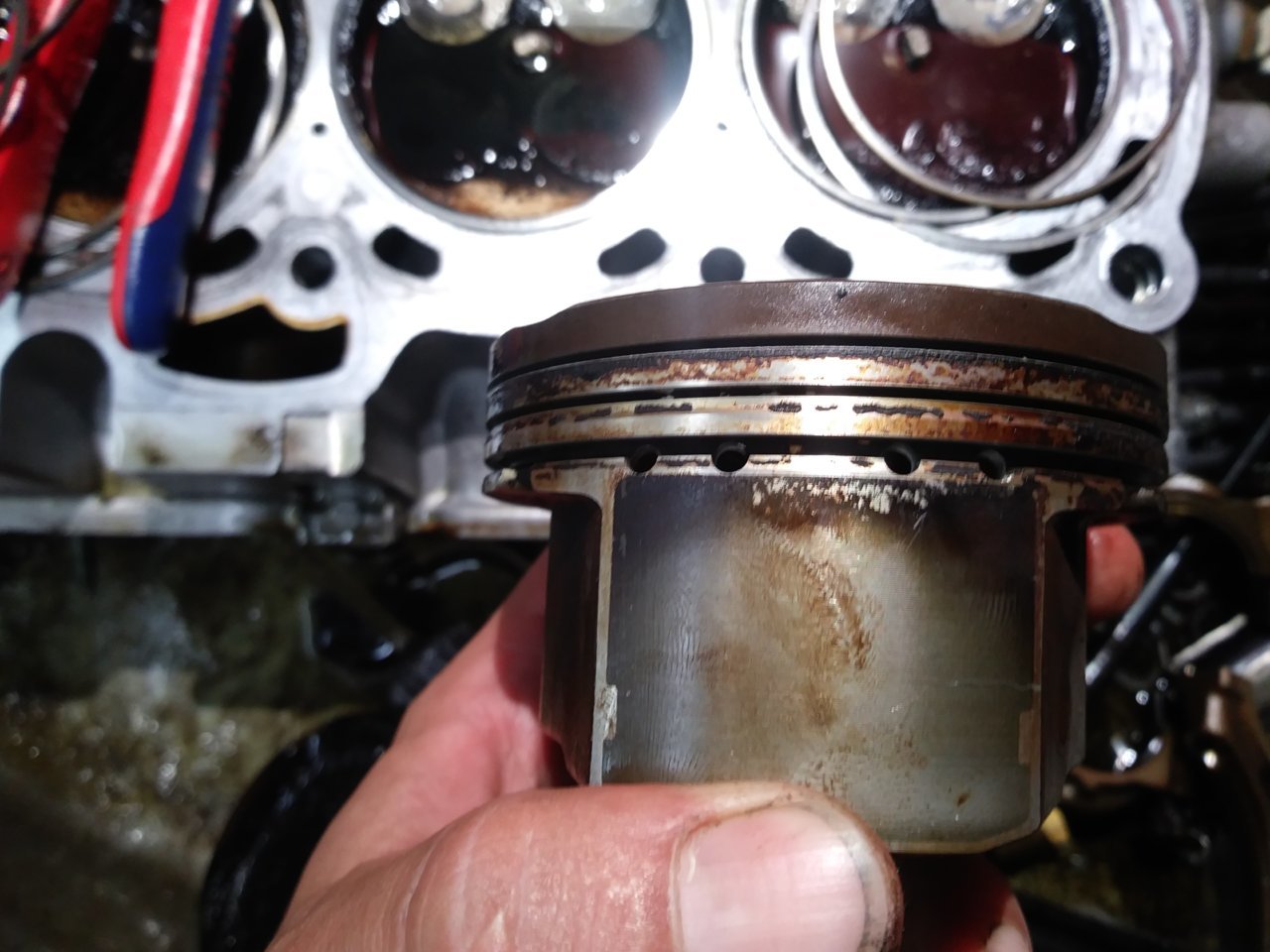 20201108_214200.jpg