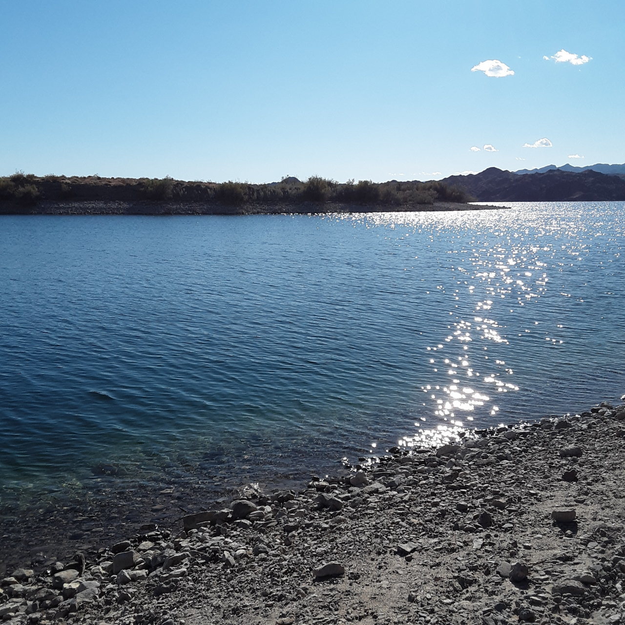20201109_143225.jpg
