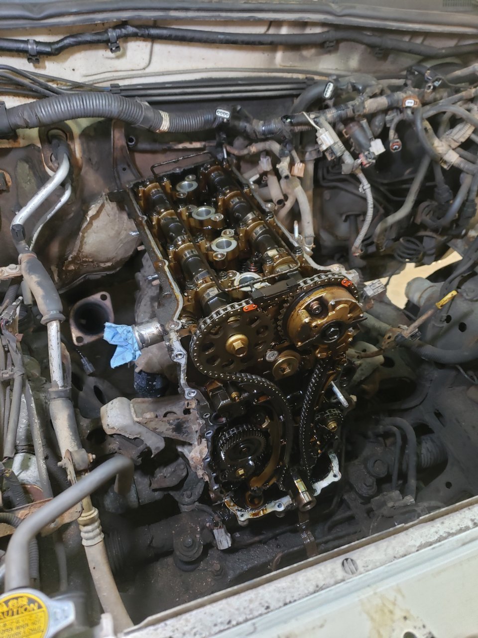 20201109_223104.jpg