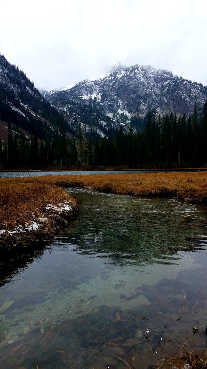 20201110_042233.jpg