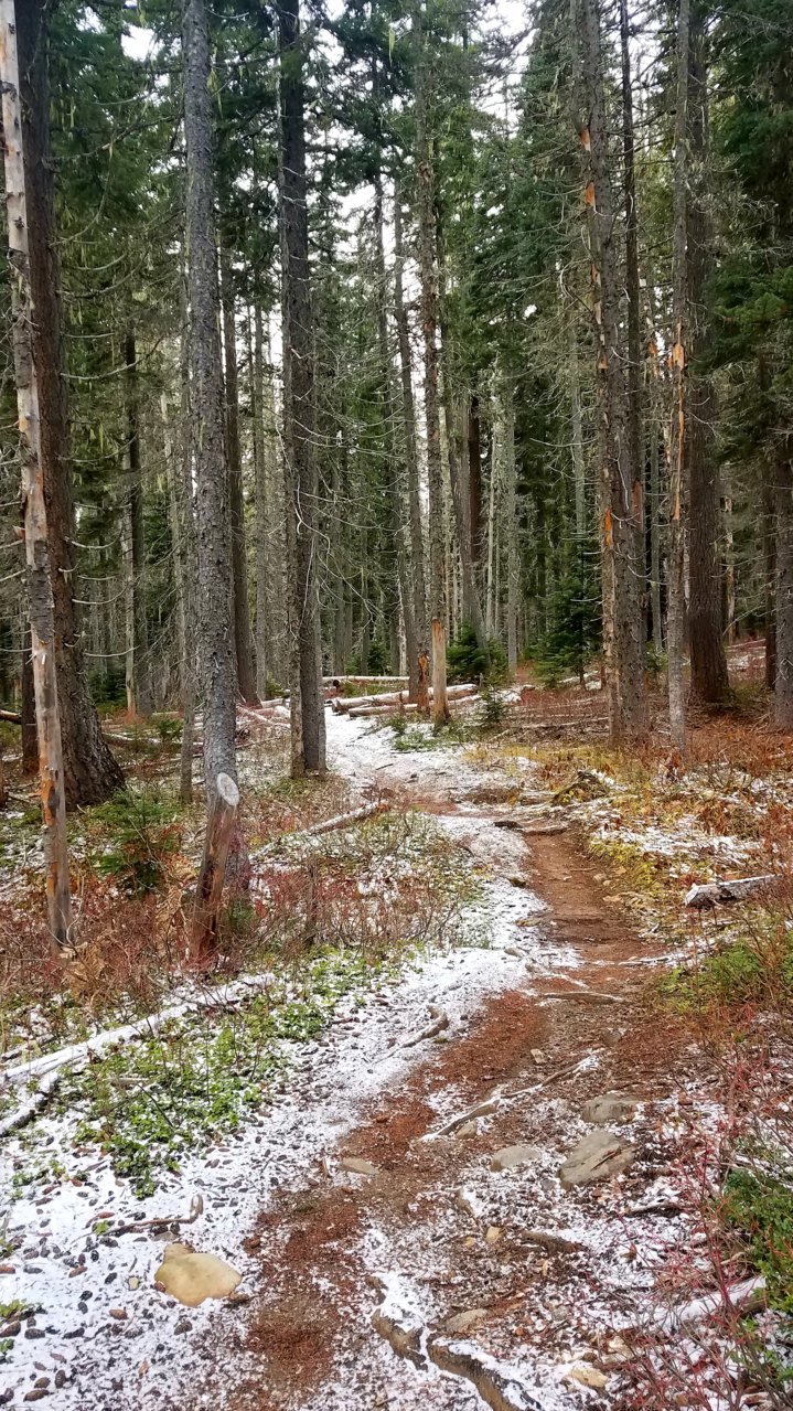 20201110_042430.jpg
