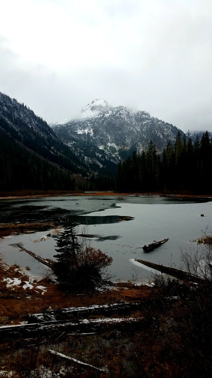 20201110_042519.jpg