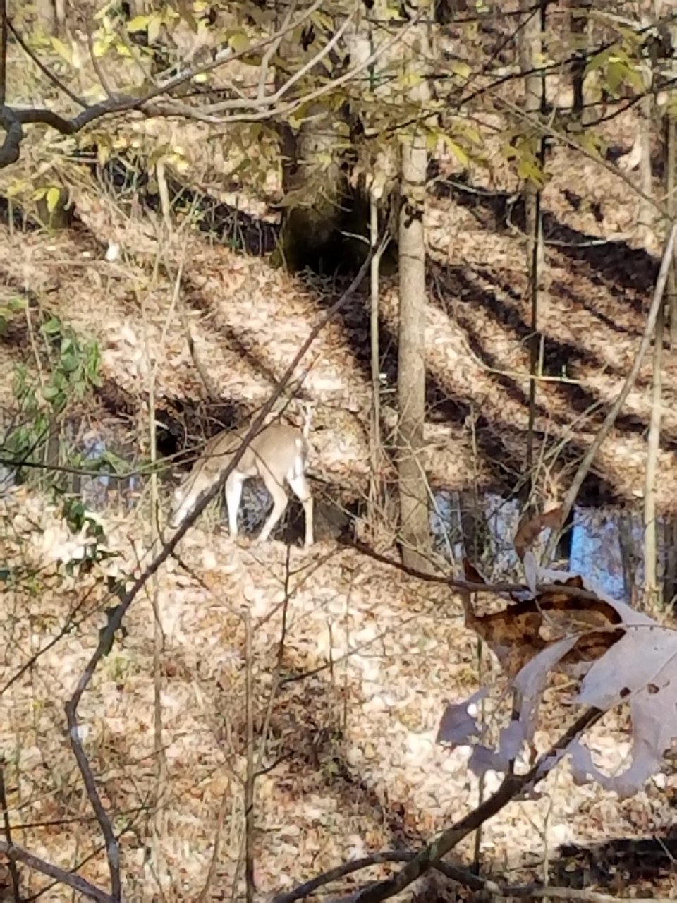 20201112_131901.jpg