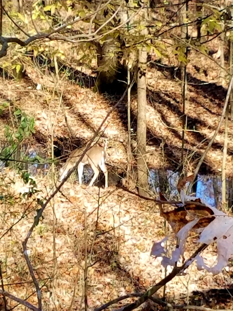 20201112_200432.jpg