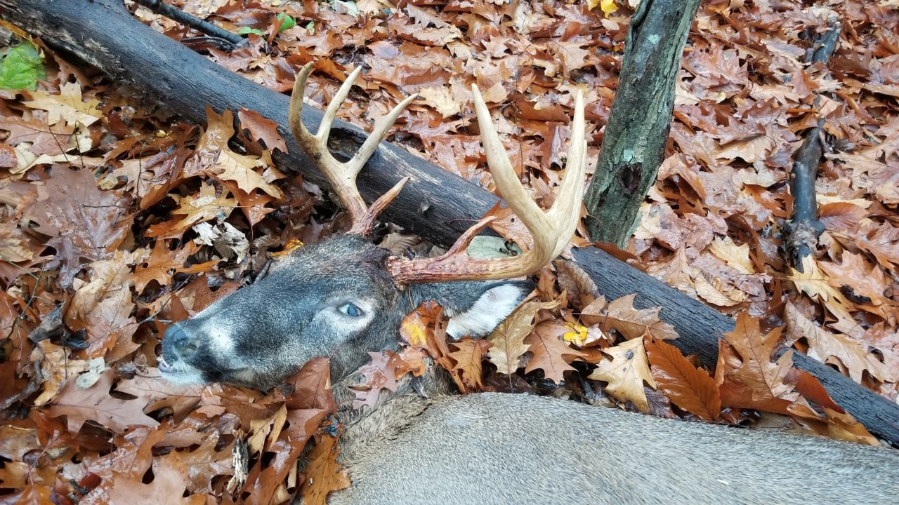 20201113_073035.jpg