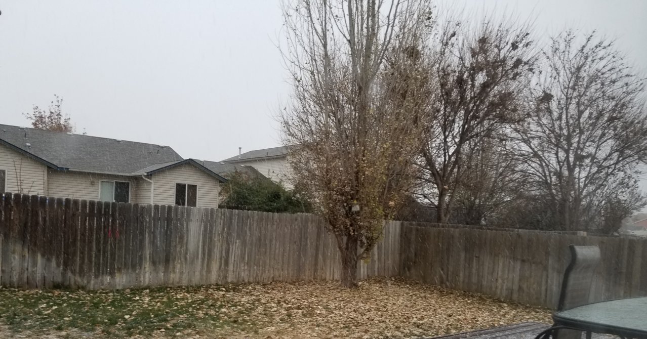 20201113_092502.jpg