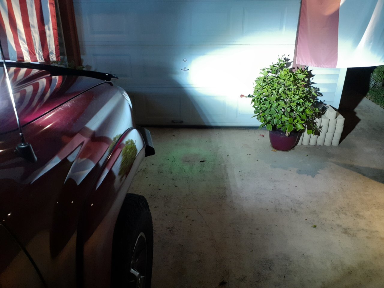 20201113_182839.jpg