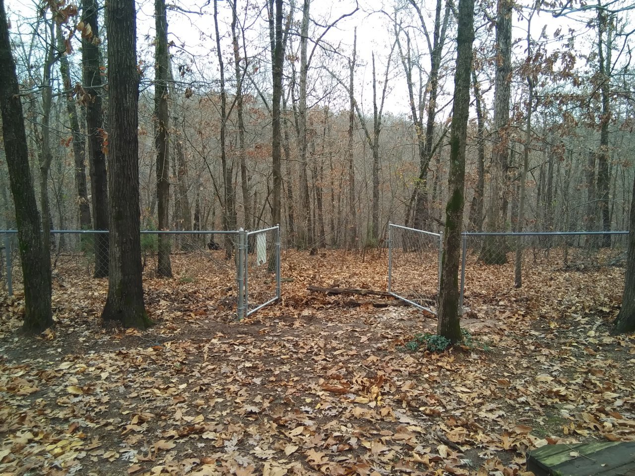 20201114_134924.jpg