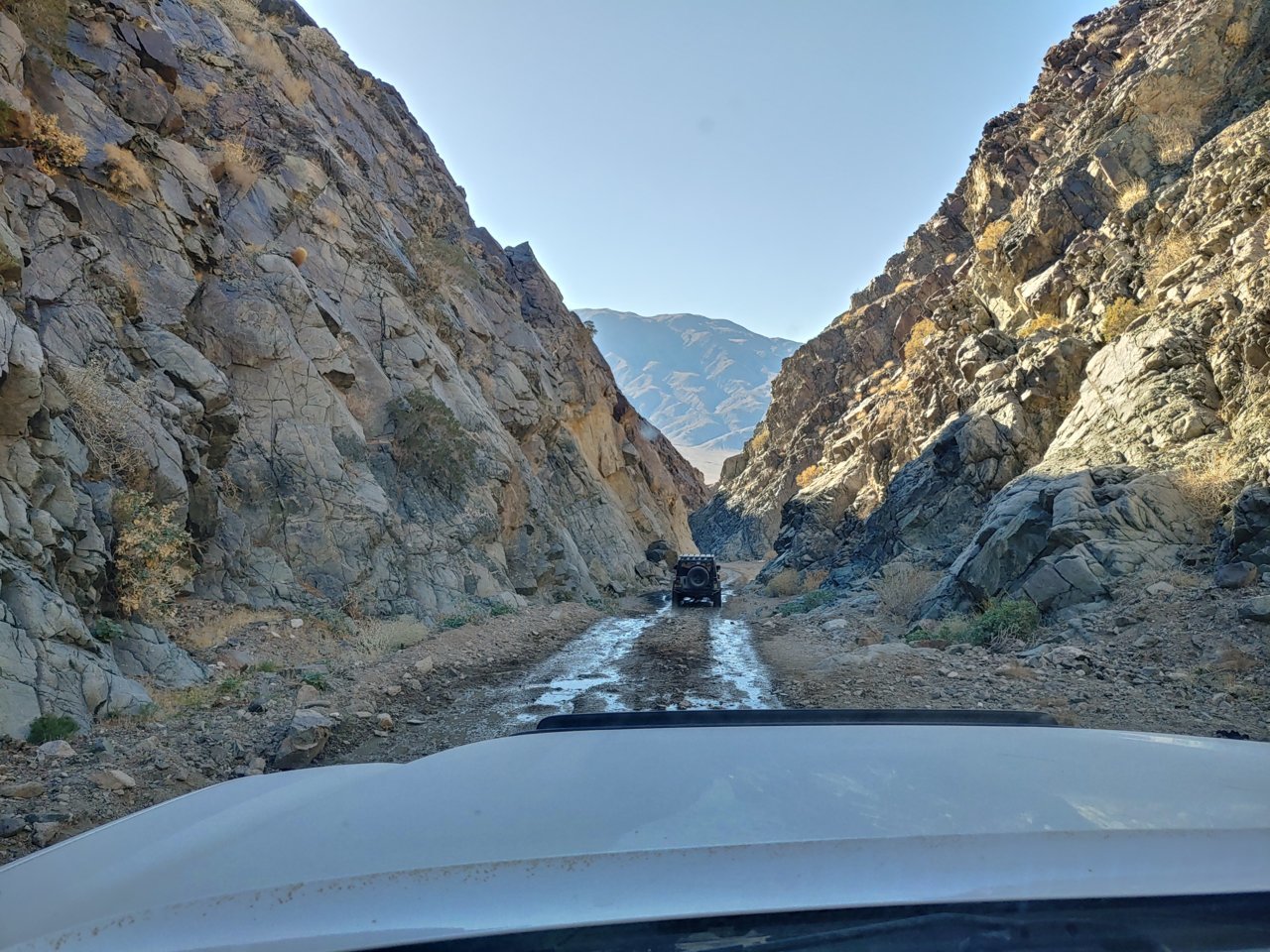 20201114_141153_HDR.jpg