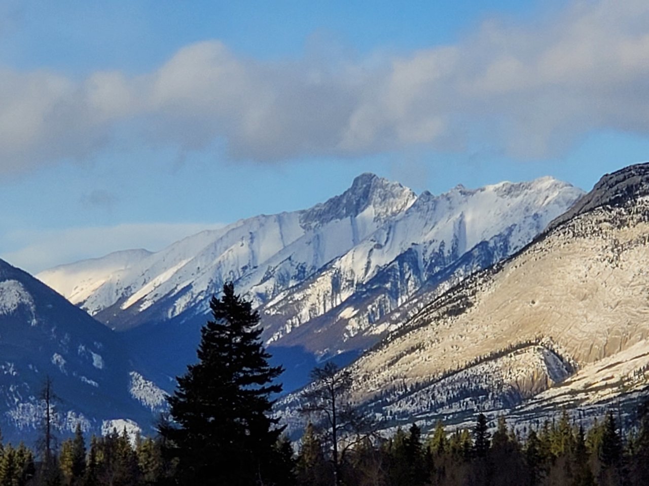 20201114_150616.jpg