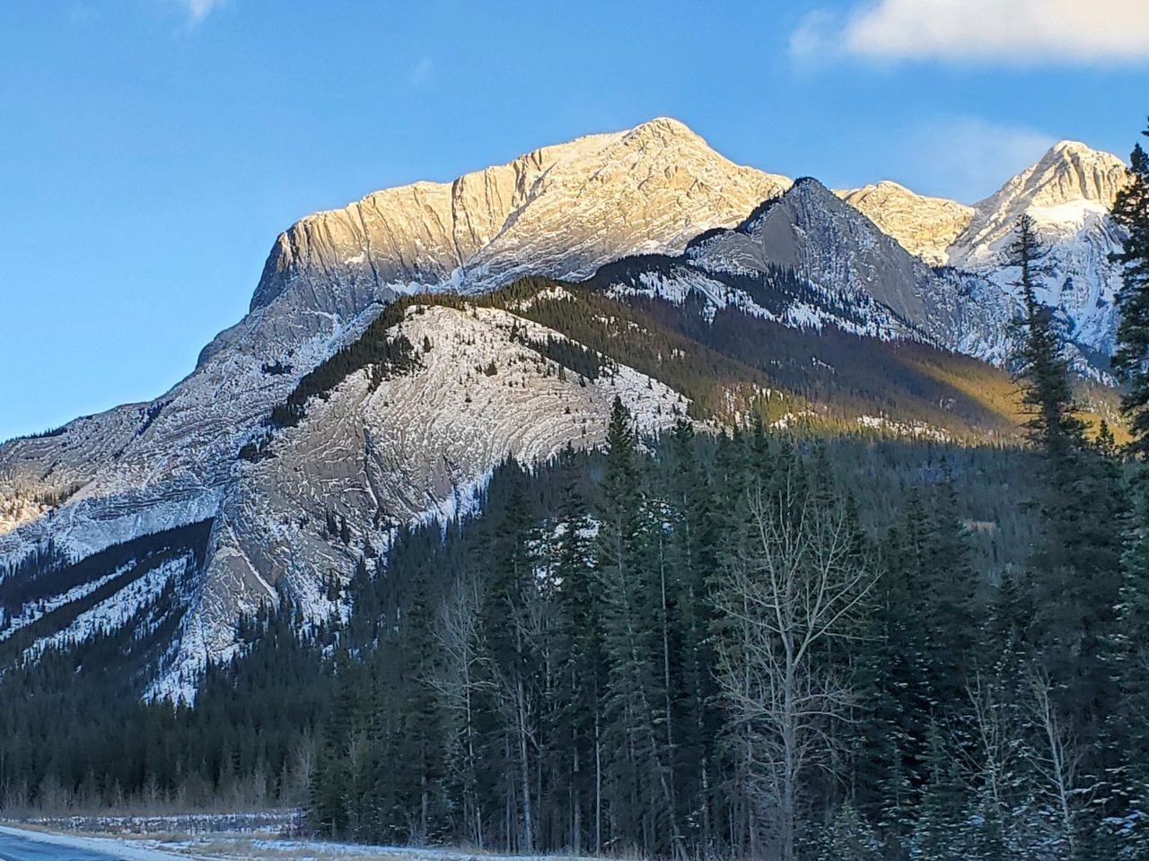 20201114_153433.jpg