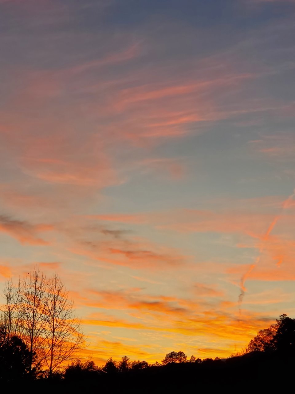 20201114_174237.jpg