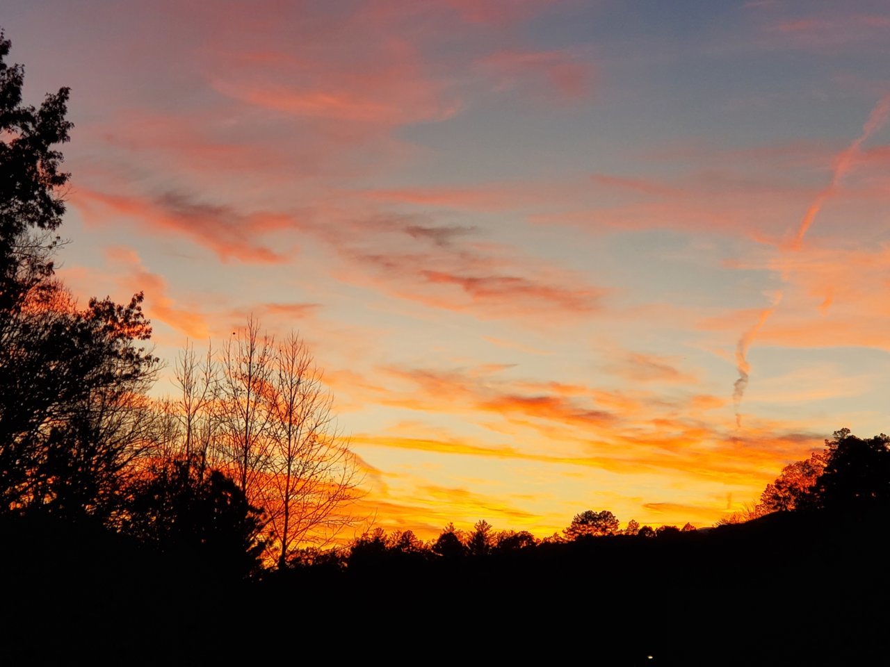 20201114_174307.jpg