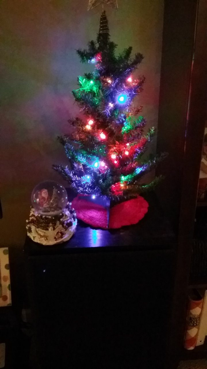 20201114_182913.jpg