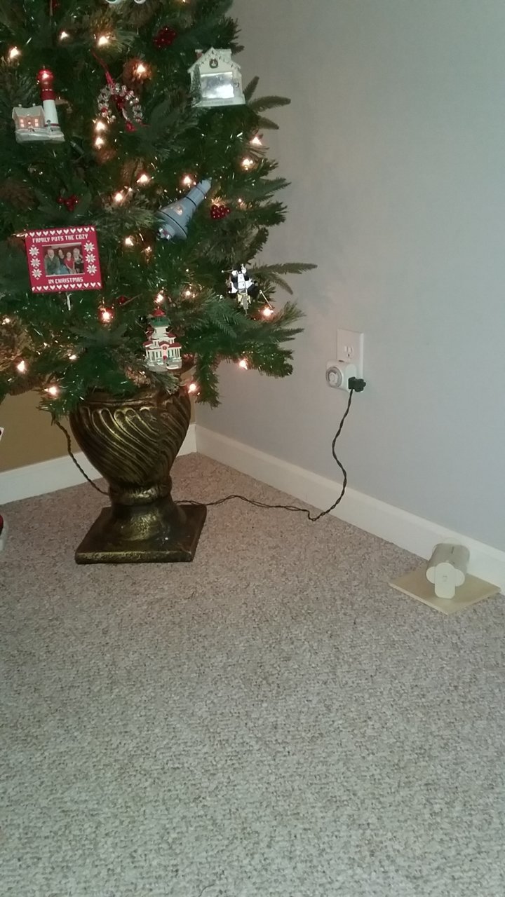 20201114_184103.jpg