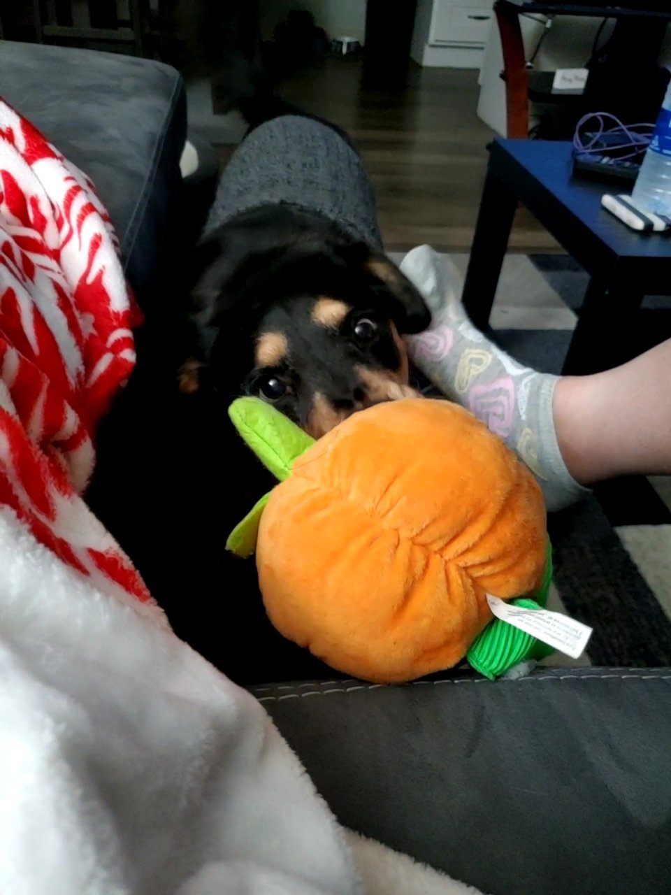 20201114_210620_capture(1).jpg