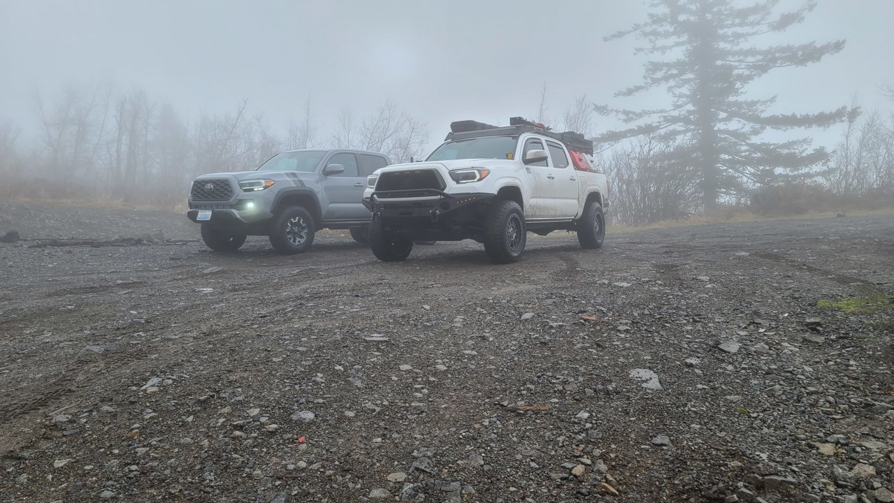 20201115_110550.jpg