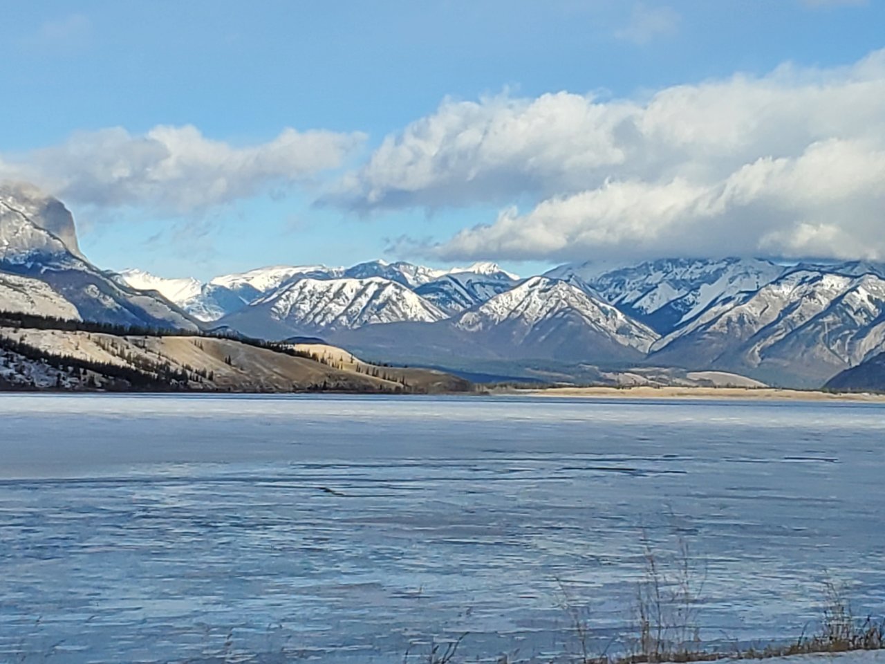 20201115_113040.jpg
