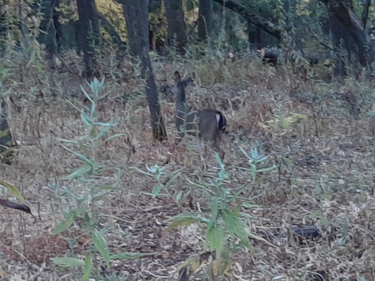 20201115_161046.jpg
