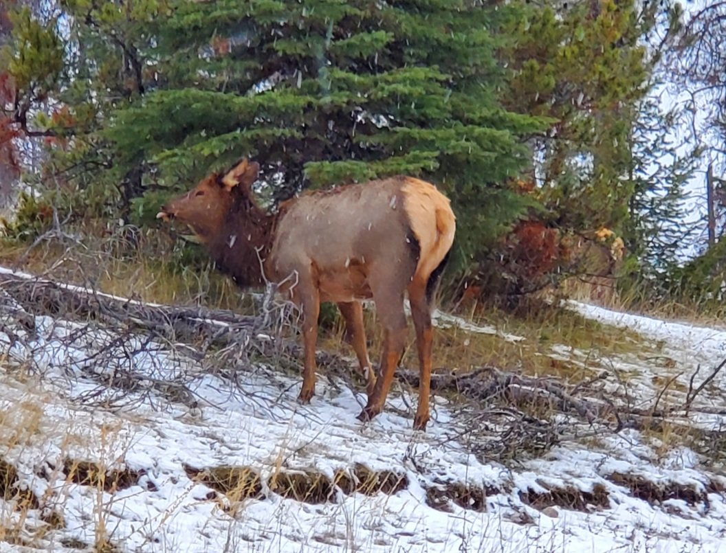 20201115_164658.jpg