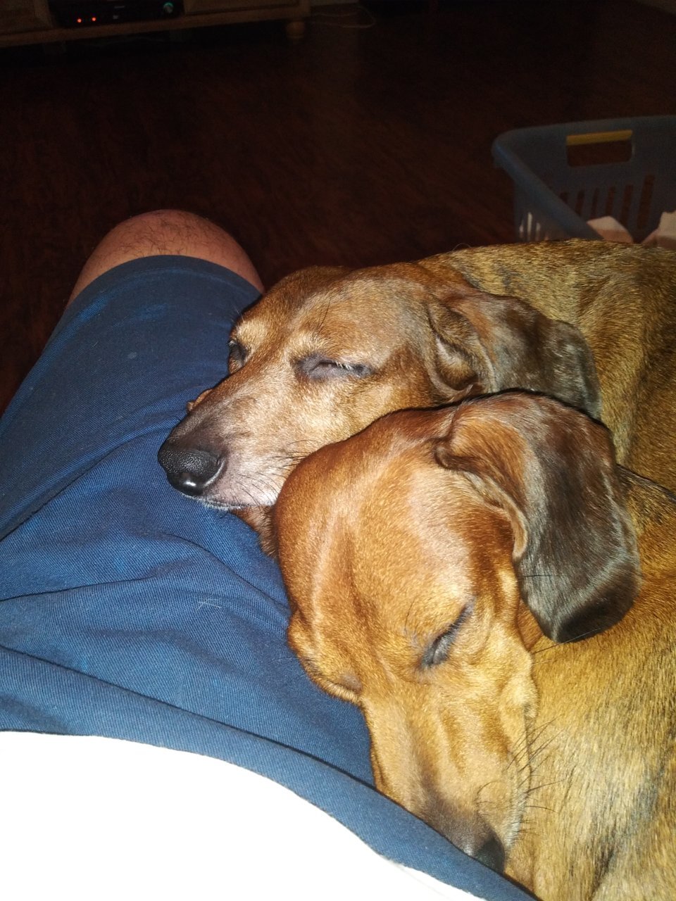 20201115_210237.jpg