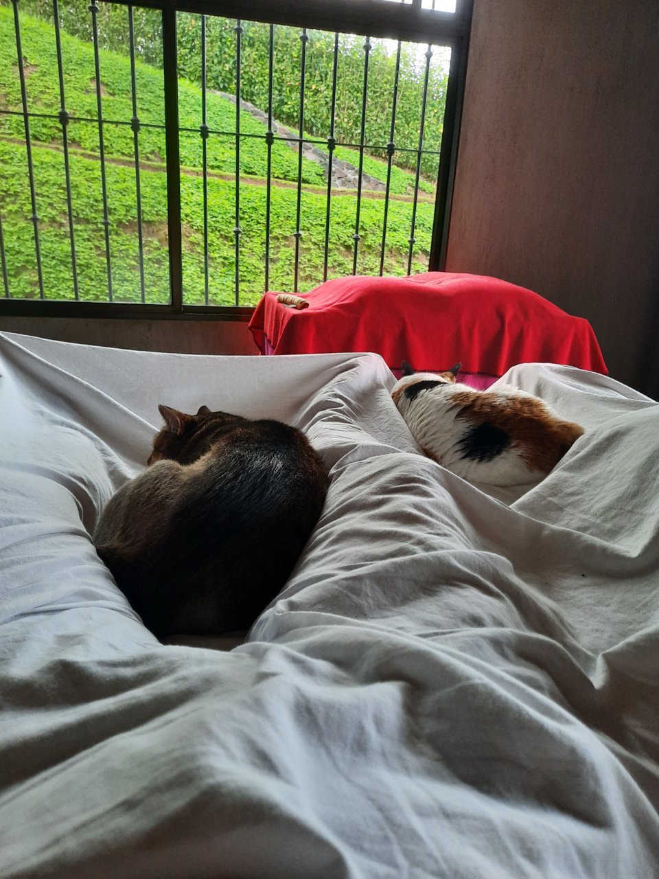 20201116_064553.jpg