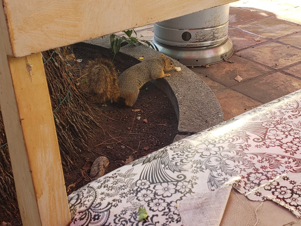 20201116_142906.jpg