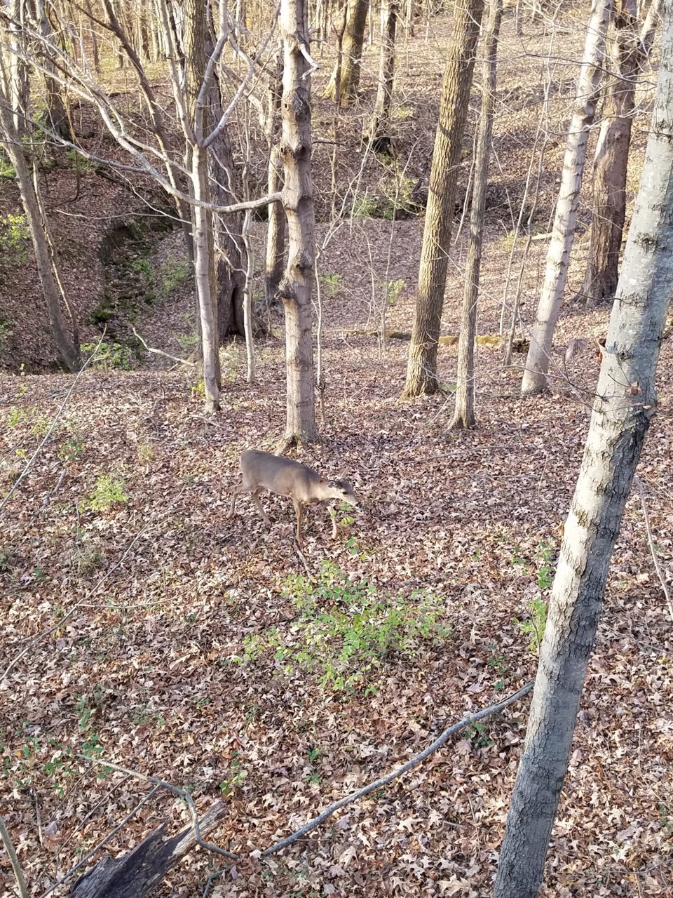 20201116_155049.jpg