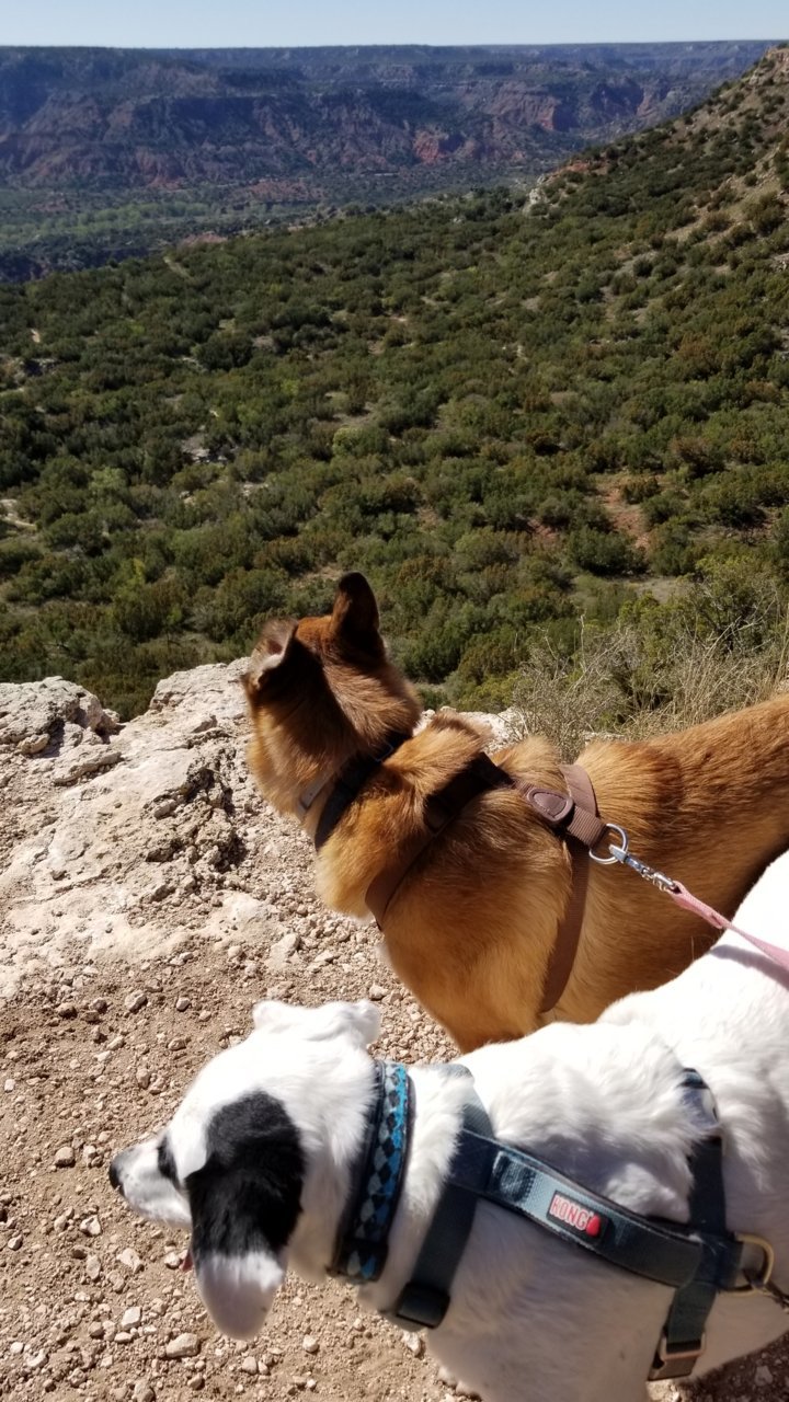 20201117_110433.jpg