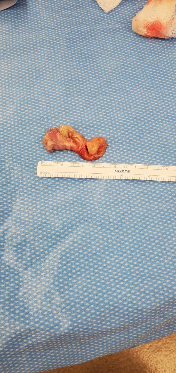 20201117_133515.jpg