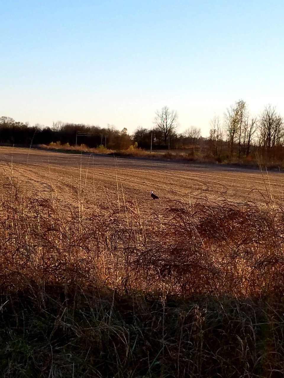 20201117_195006.jpg