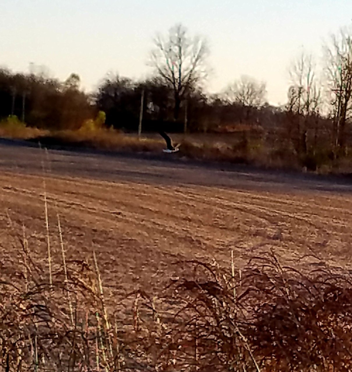 20201117_195039.jpg