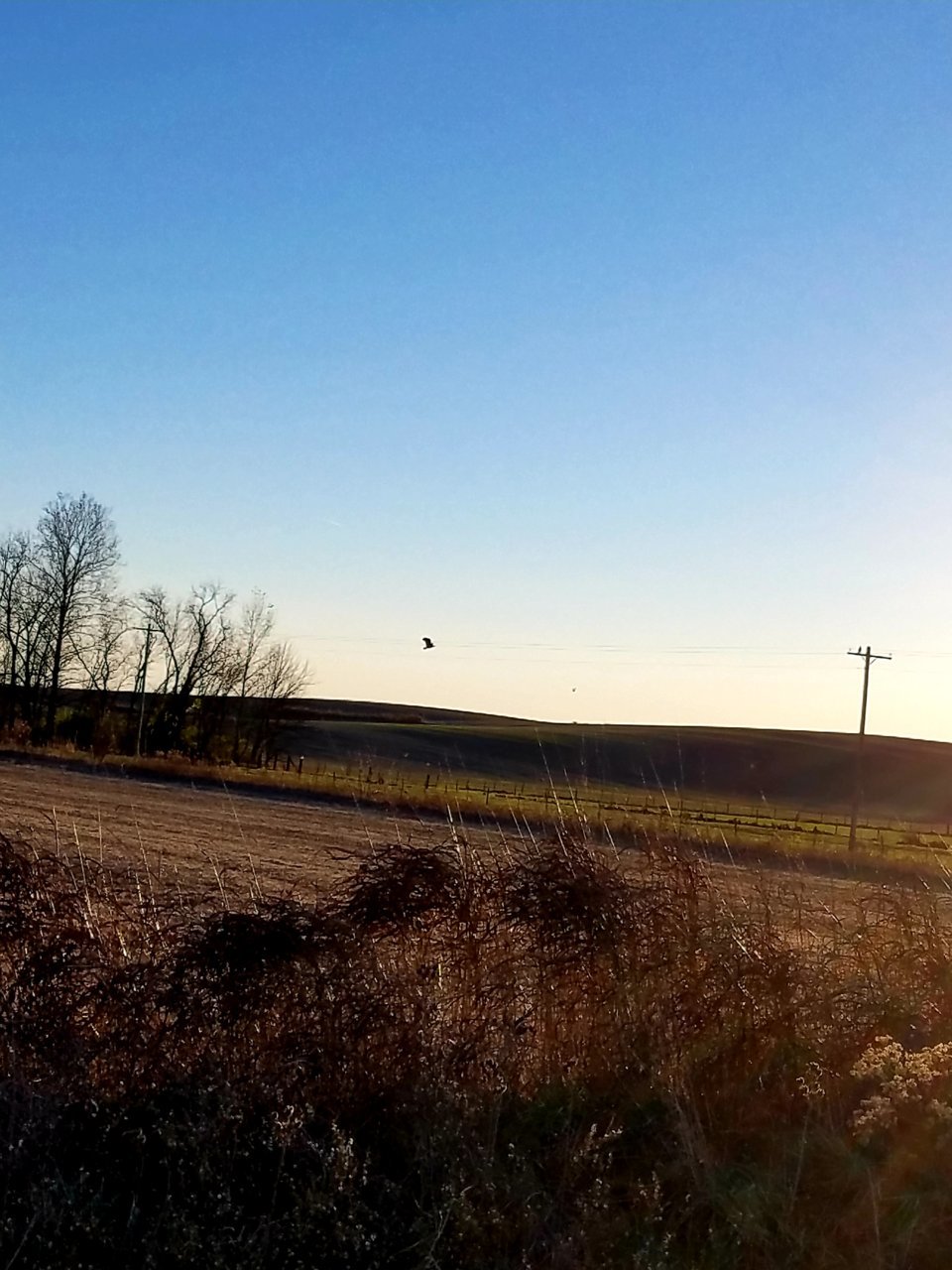 20201117_195128.jpg