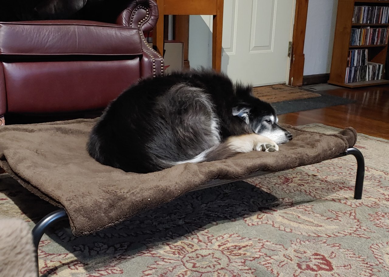 20201118_064015~2.jpg