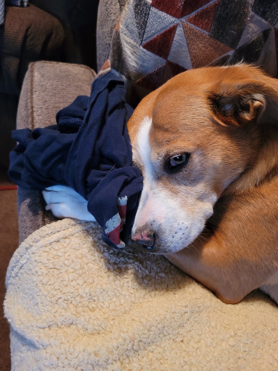 20201118_084132.jpg