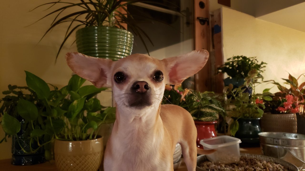 20201118_221616.jpg