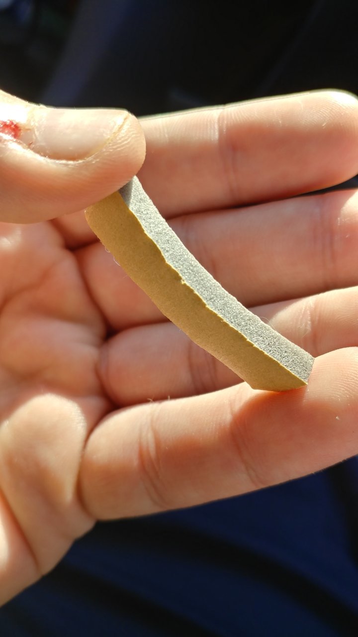 20201119_154417_HDR.jpg