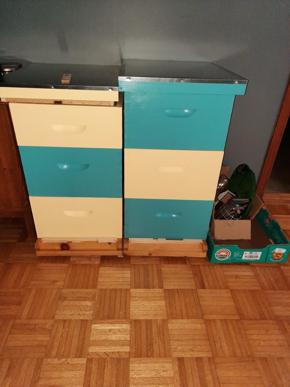 20201119_155152.jpg