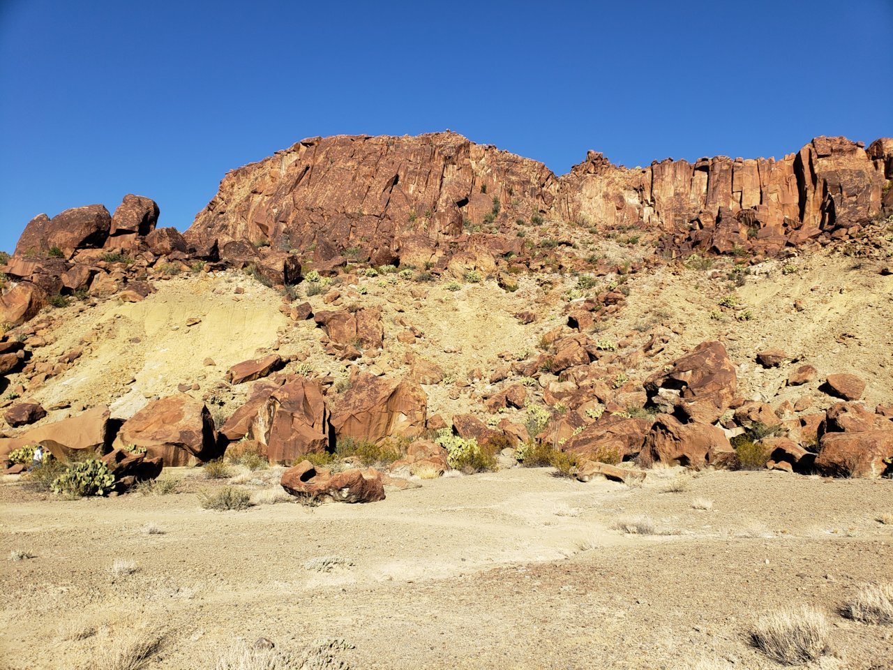 20201120_092932.jpg