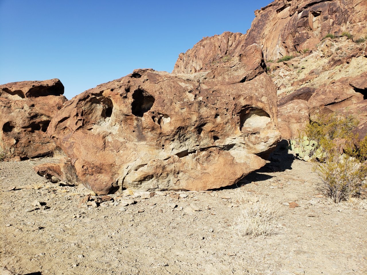 20201120_100334.jpg