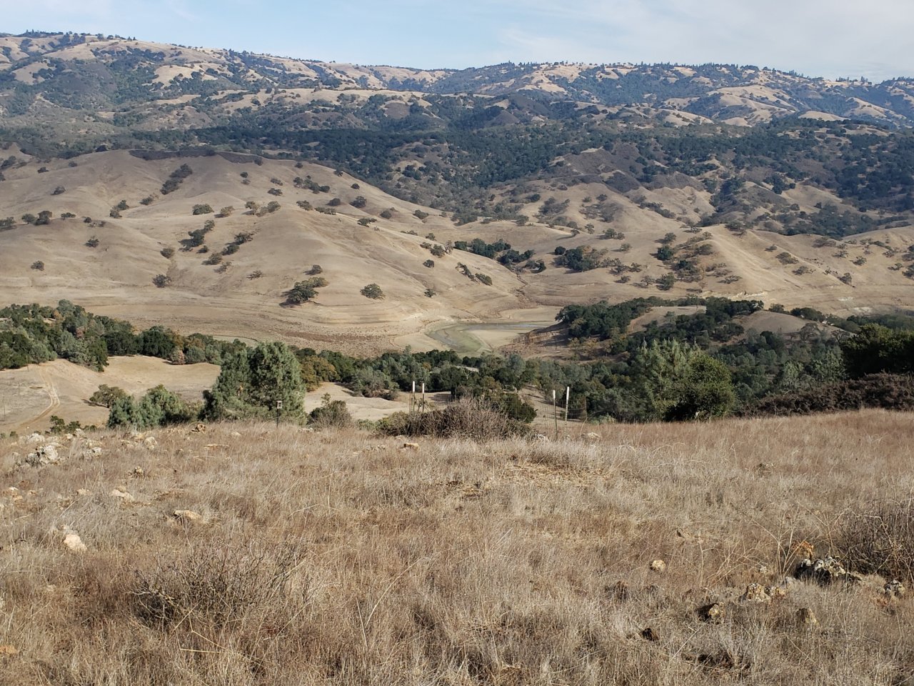 20201120_123130.jpg