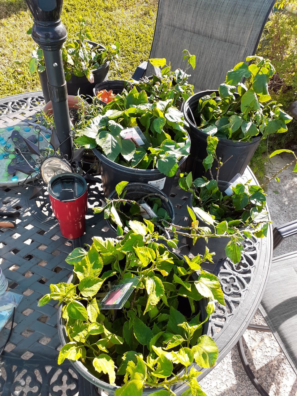 20201120_145606.jpg