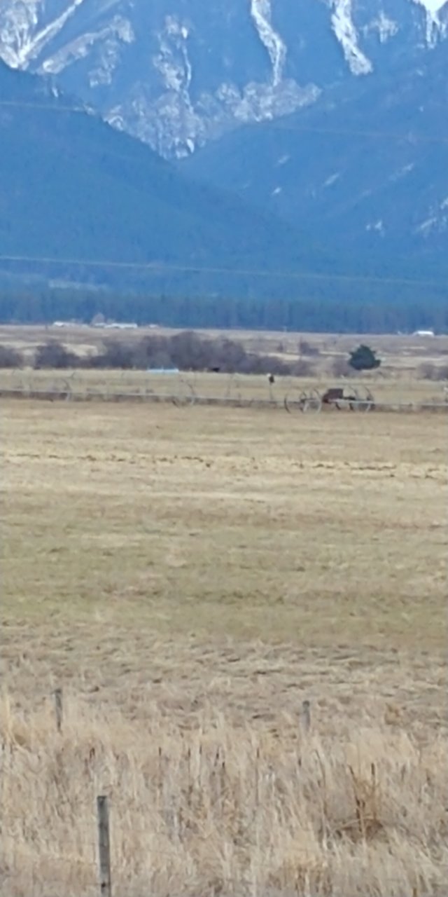 20201120_152345.jpg