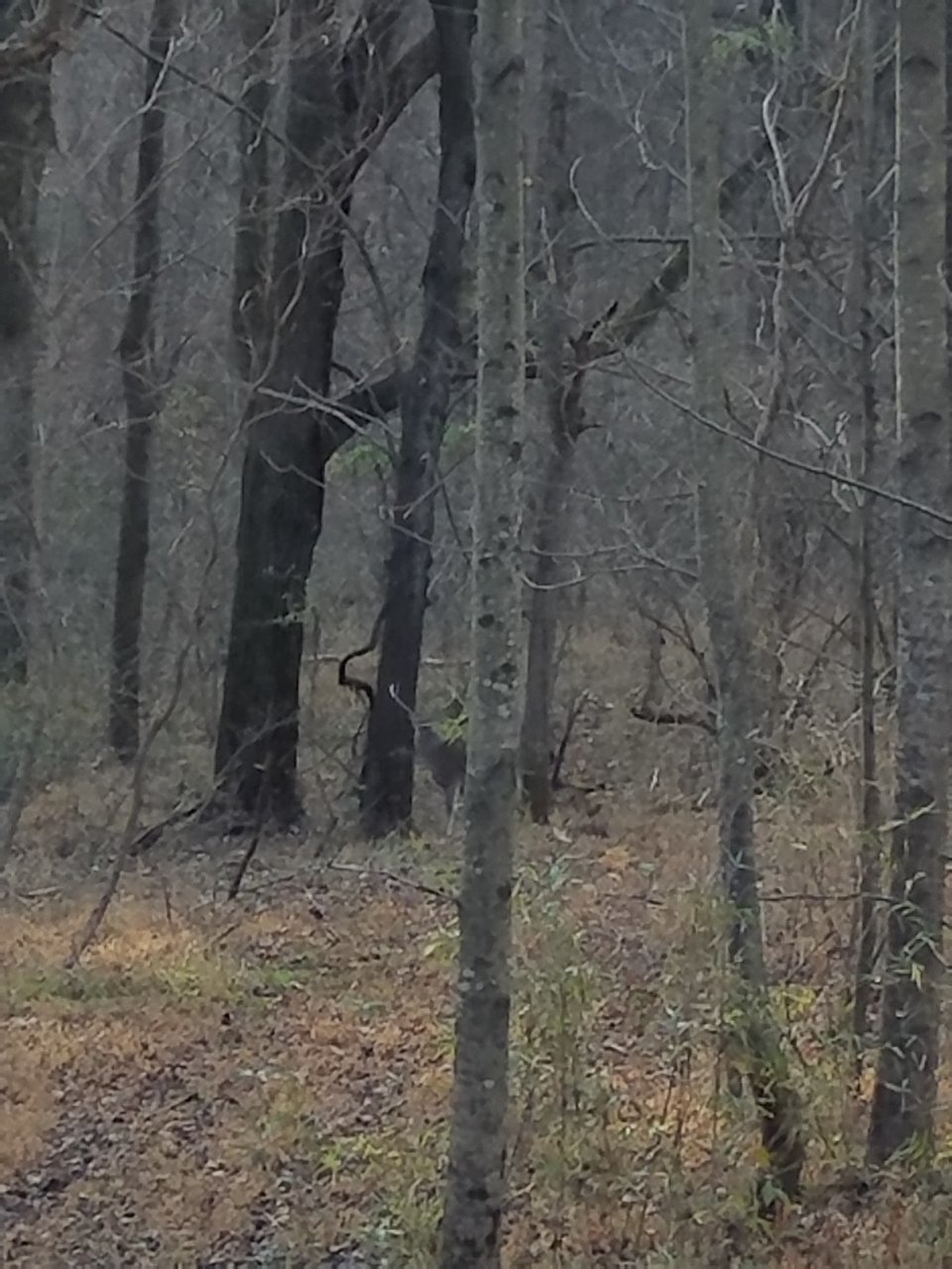20201120_152635.jpg